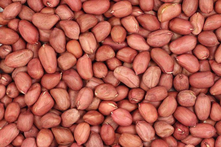 Bold Peanut