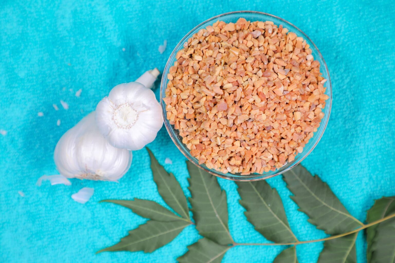 Coriander Seeds